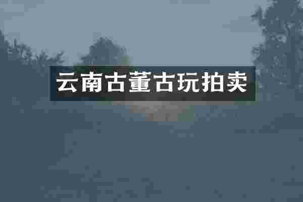 云南古董古玩拍卖