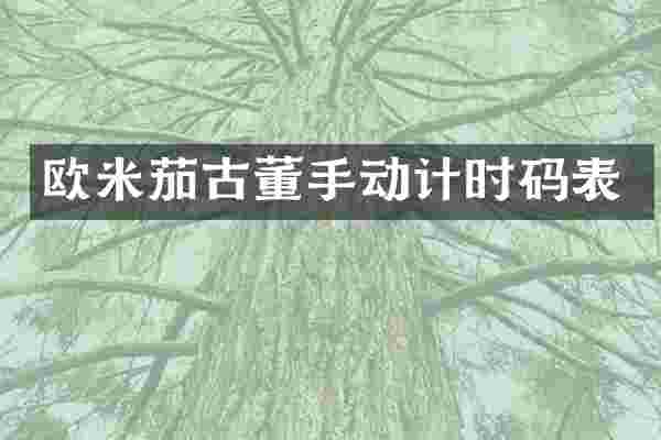 欧米茄古董手动计时码表