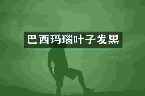 巴西玛瑙叶子发黑