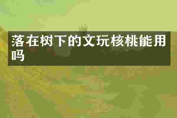 落在树下的文玩核桃能用吗