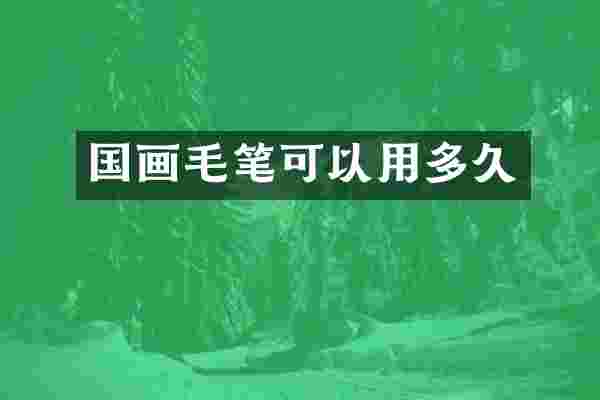 国画毛笔可以用多久