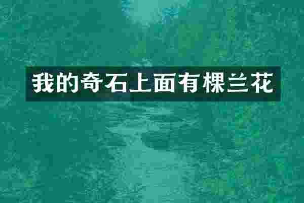 我的奇石上面有棵兰花