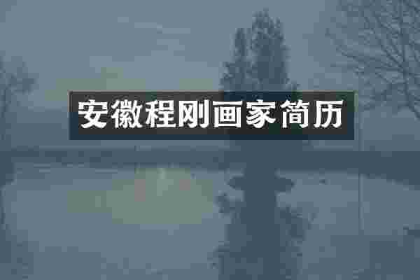 安徽程刚画家简历