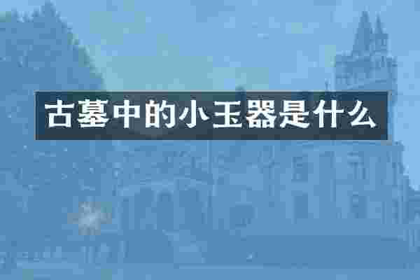 古墓中的小玉器是什么