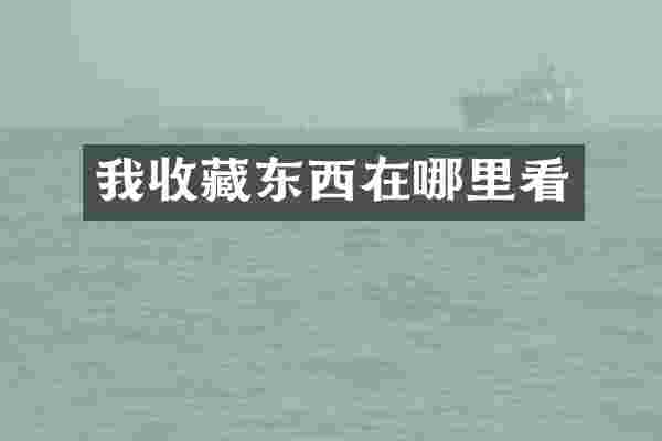 我收藏东西在哪里看