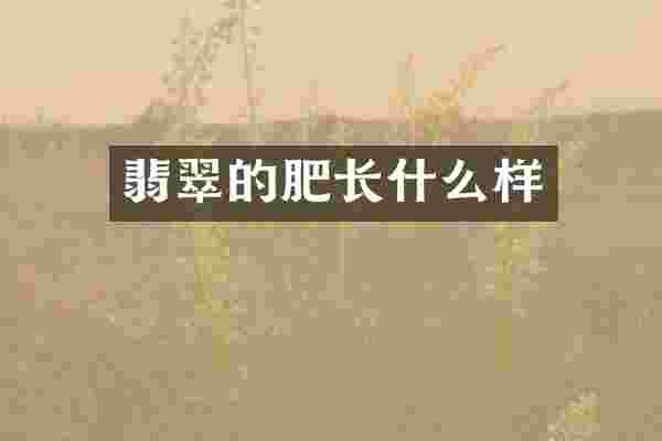 翡翠的肥长什么样