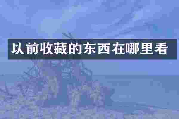 以前收藏的东西在哪里看