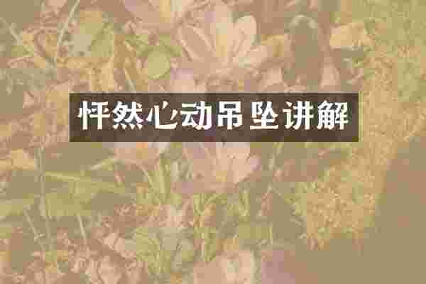 怦然心动吊坠讲解