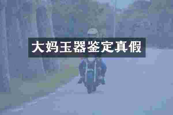 大妈玉器鉴定真假