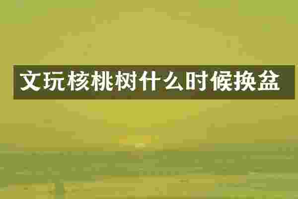 文玩核桃树什么时候换盆