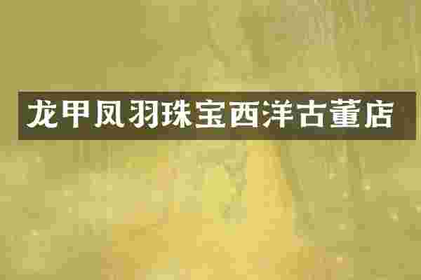 龙甲凤羽珠宝西洋古董店