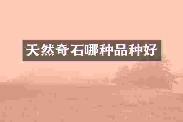 天然奇石哪种品种好