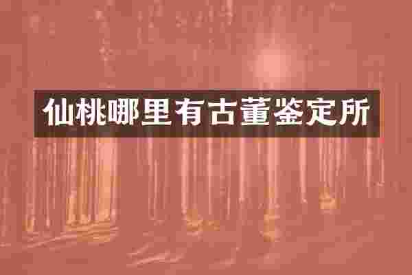 仙桃哪里有古董鉴定所