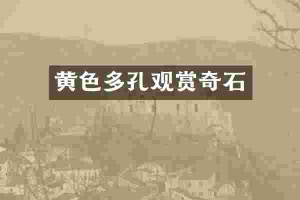 黄色多孔观赏奇石