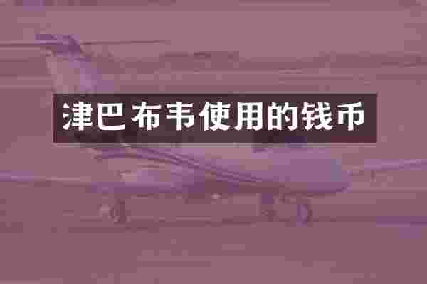 津巴布韦使用的钱币