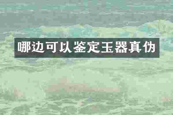 哪边可以鉴定玉器真伪