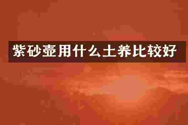 紫砂壶用什么土养比较好
