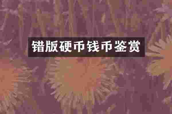 错版硬币钱币鉴赏
