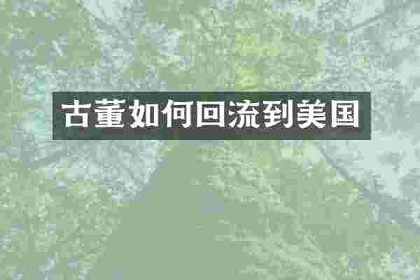 古董如何回流到美国