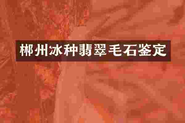 郴州冰种翡翠毛石鉴定