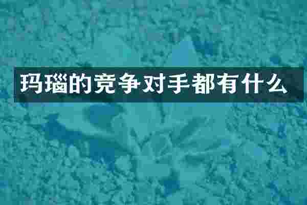 玛瑙的竞争对手都有什么