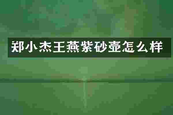 郑小杰王燕紫砂壶怎么样