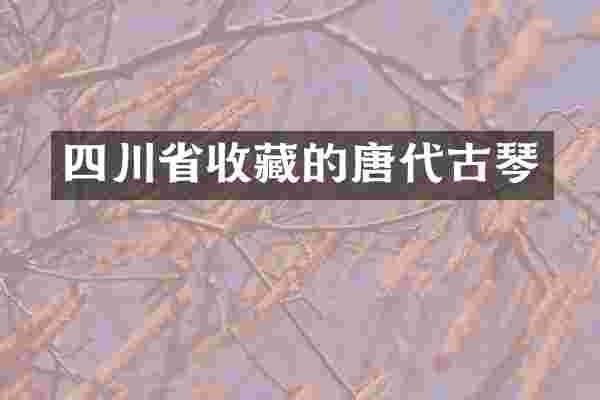 四川省收藏的唐代古琴