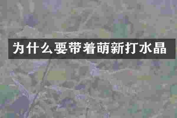 为什么要带着萌新打水晶