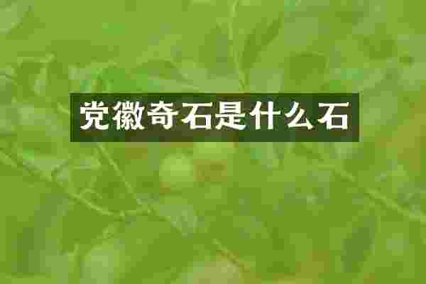 奇石是什么石