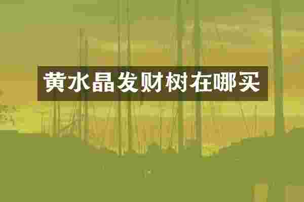 黄水晶发财树在哪买