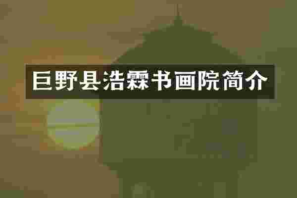 巨野县浩霖书画院简介