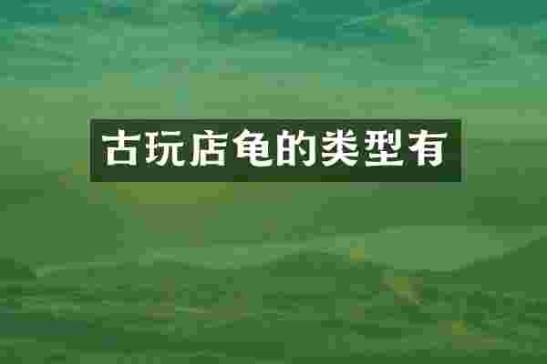 古玩店龟的类型有