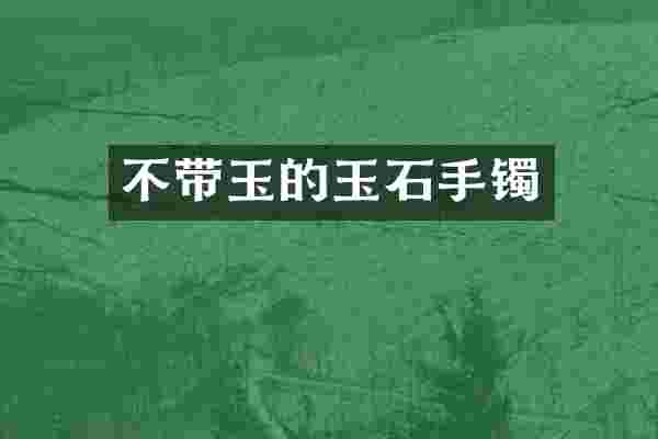 不带玉的玉石手镯