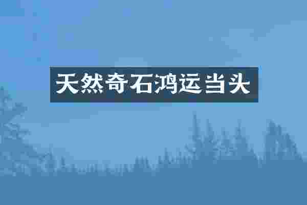 天然奇石鸿运当头