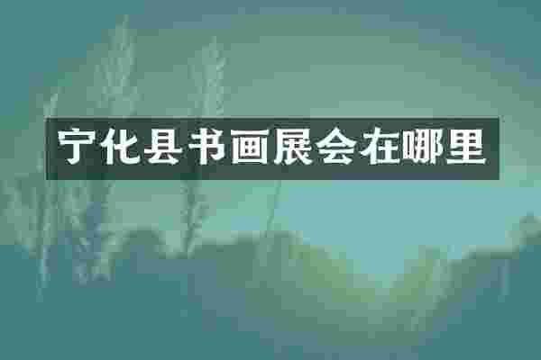宁化县书画展会在哪里