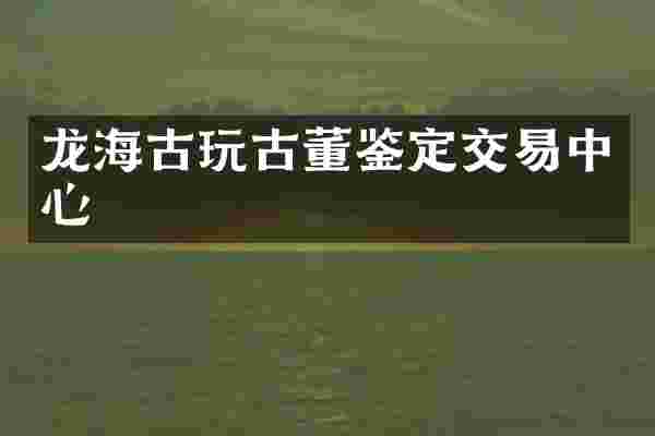 龙海古玩古董鉴定交易中心