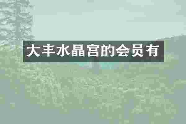 大丰水晶宫的会员有
