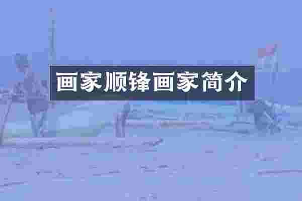 画家顺锋画家简介