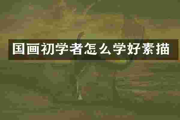 国画初学者怎么学好素描