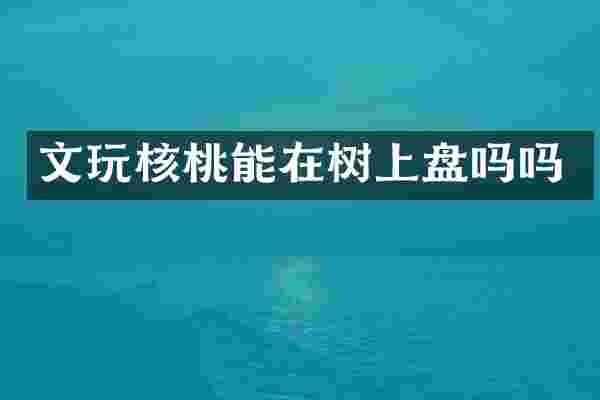 文玩核桃能在树上盘吗吗