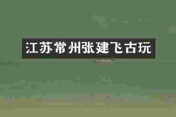 江苏常州张建飞古玩