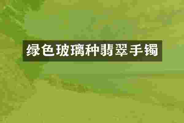 绿色玻璃种翡翠手镯