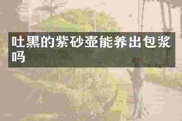 吐黑的紫砂壶能养出包浆吗