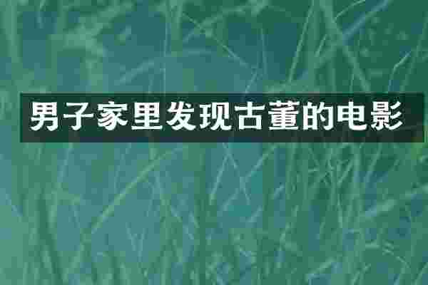 男子家里发现古董的电影