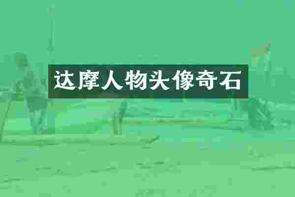 达摩人物头像奇石