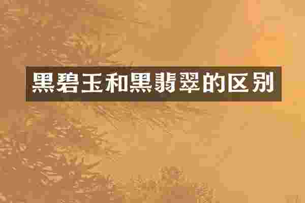 黑碧玉和黑翡翠的区别