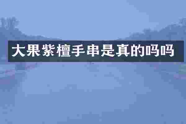大果紫檀手串是真的吗吗