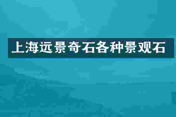 上海远景奇石各种景观石