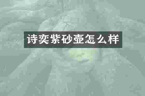诗奕紫砂壶怎么样