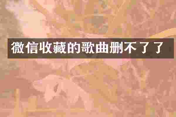 微信收藏的歌曲删不了了